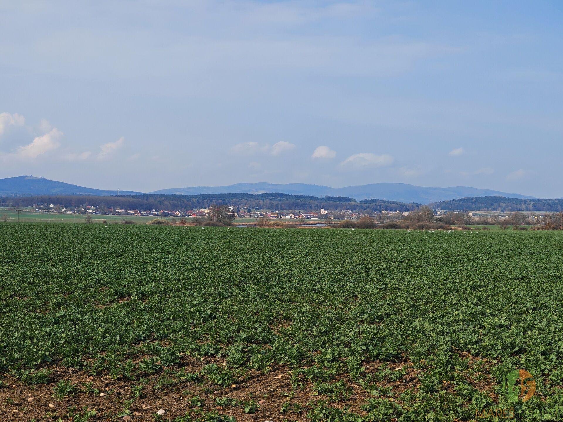 Prodej stavebního pozemku, Branišov, 1985m2