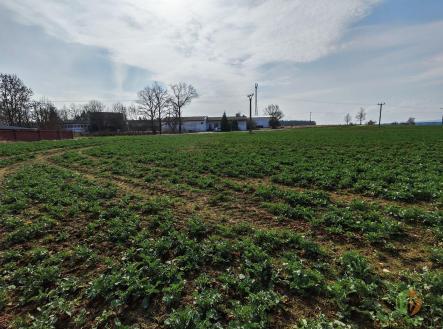 Prodej - pozemek pro bydlení, 1 985 m²