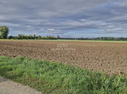 1 | Prodej - pozemek pro komerční výstavbu, 12 361 m²