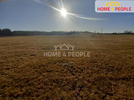 Prodej - pozemek, trvalý travní porost, 9 804 m²