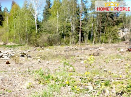 1 | Prodej - pozemek pro bydlení, 2 392 m²
