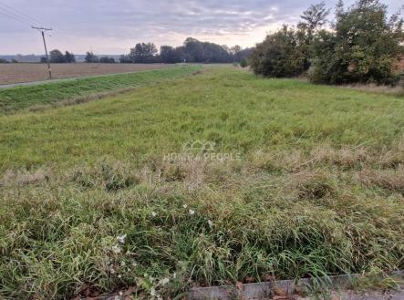 4 | Prodej - pozemek pro bydlení, 2 765 m²