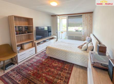 Prodej bytu, 1+1, 42 m² obrázek