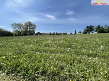 1 | Prodej - pozemek, trvalý travní porost, 3 932 m²