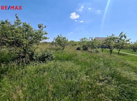 20250512-115615.jpg | Prodej - pozemek, zahrada, 1 127 m²