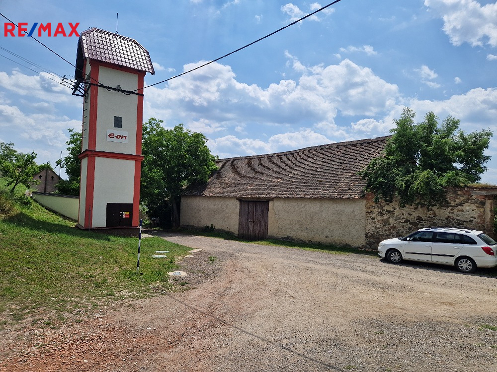 20250619-115451.jpg