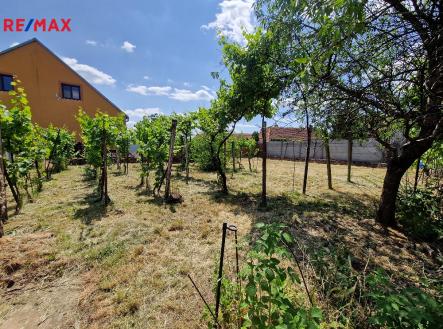 20250620-132814.jpg | Prodej - dům/vila, 84 m²