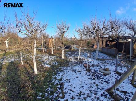 20260118-145147.jpg | Prodej - pozemek, zahrada, 491 m²