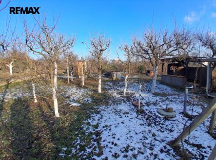 20260118-145147.jpg | Prodej - pozemek, zahrada, 491 m²