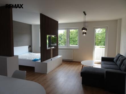 dsc02579.jpg | Pronájem bytu, 1+kk, 58 m²