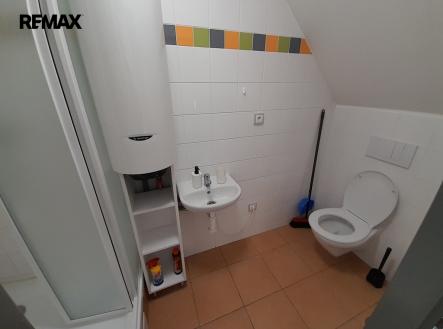 20260303-092613.jpg | Pronájem bytu, 1+kk, 12 m²