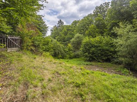 foto: 4 | Prodej - pozemek pro bydlení, 3 117 m²