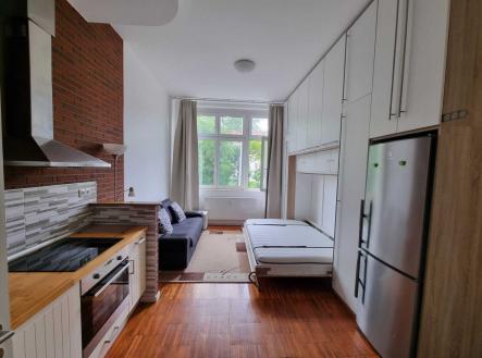 Pronájem bytu, 1+kk, 26 m² obrázek