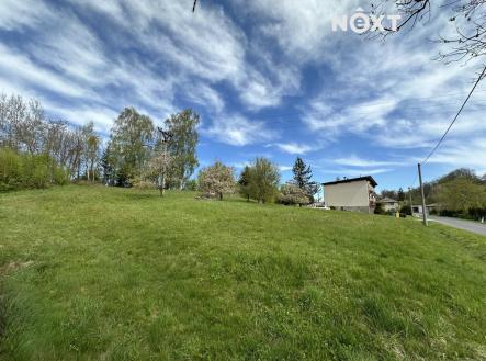 Prodej - pozemek pro bydlení, 3 010 m²