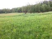 Prodej - pozemek, ostatní, 85 000 m²