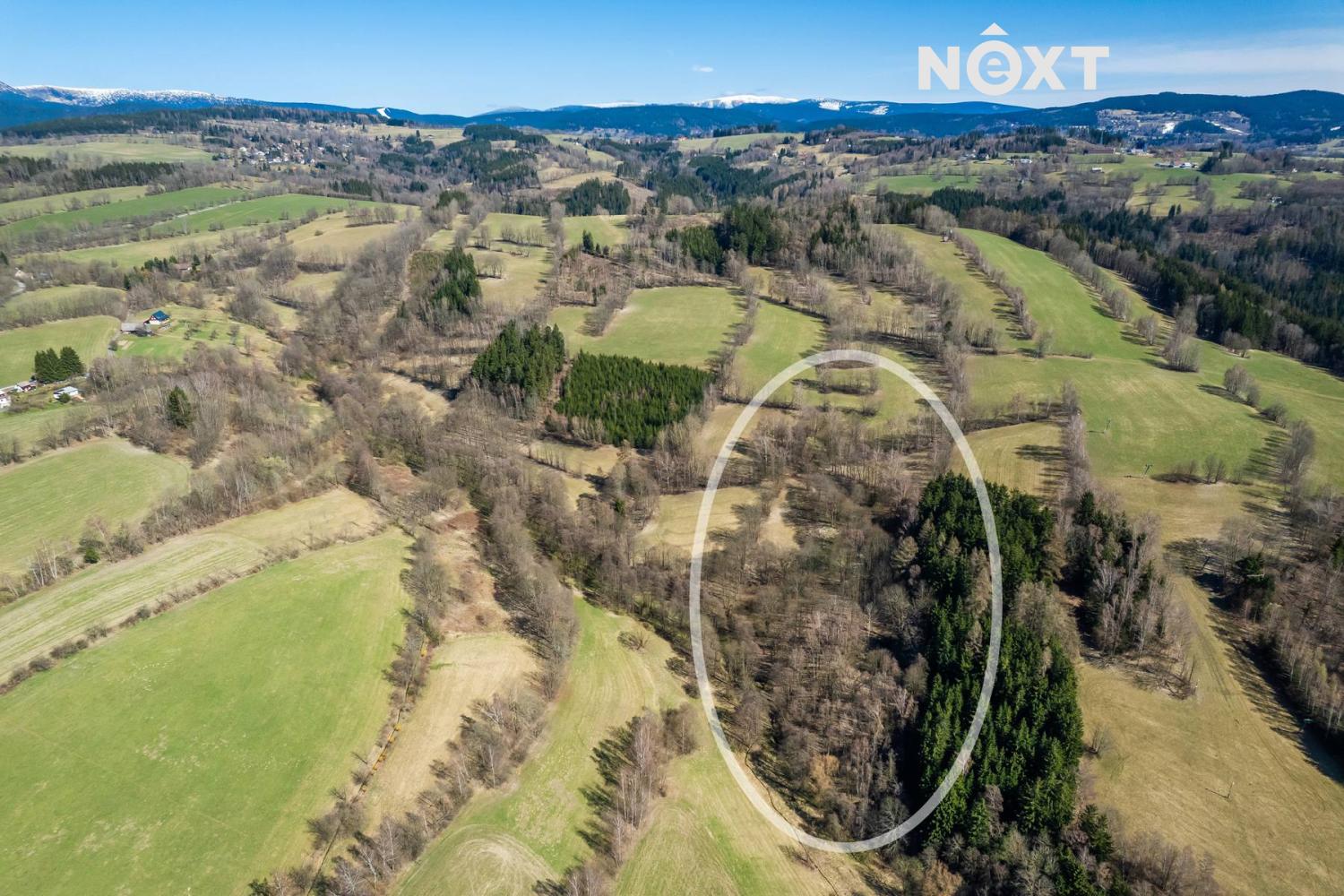 Prodej pozemek Louky, 6913㎡