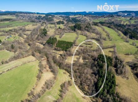 Prodej - pozemek, trvalý travní porost, 6 913 m²
