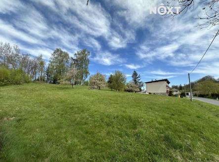 Prodej - pozemek pro bydlení, 3 010 m²