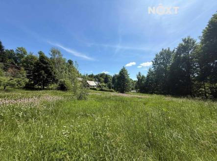 Prodej - pozemek pro bydlení, 2 554 m²