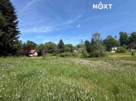 Prodej - pozemek pro bydlení, 2 554 m²