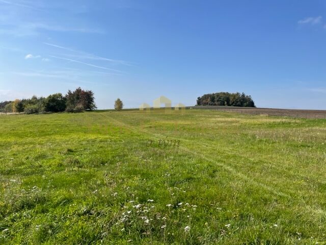 Prodej stavebních pozemků, celkem 21 009 m2, okres Benešov