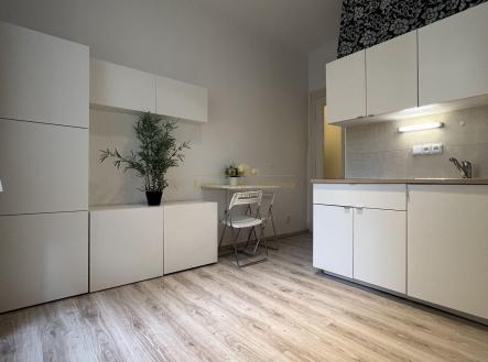 Pronájem bytu, 1+kk, 19 m²