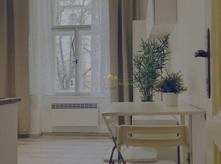 Pronájem bytu, 1+kk, 19 m²