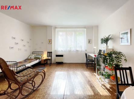 Zelená liška - pokoj s oknem na JV (Braňo Pažitka) | Prodej bytu, 1+kk, 45 m²