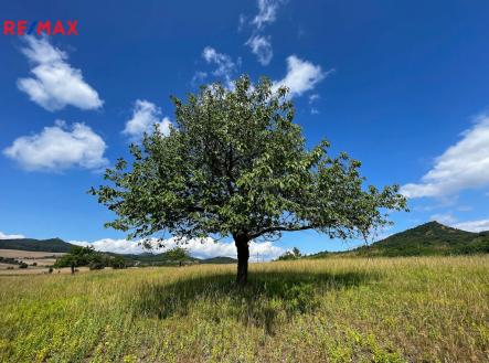 1-podsedice-brano-pazitka.jpg | Prodej - pozemek pro bydlení, 4 847 m²