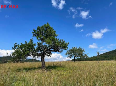 3-podsedice-brano-pazitka.jpg | Prodej - pozemek pro bydlení, 4 847 m²