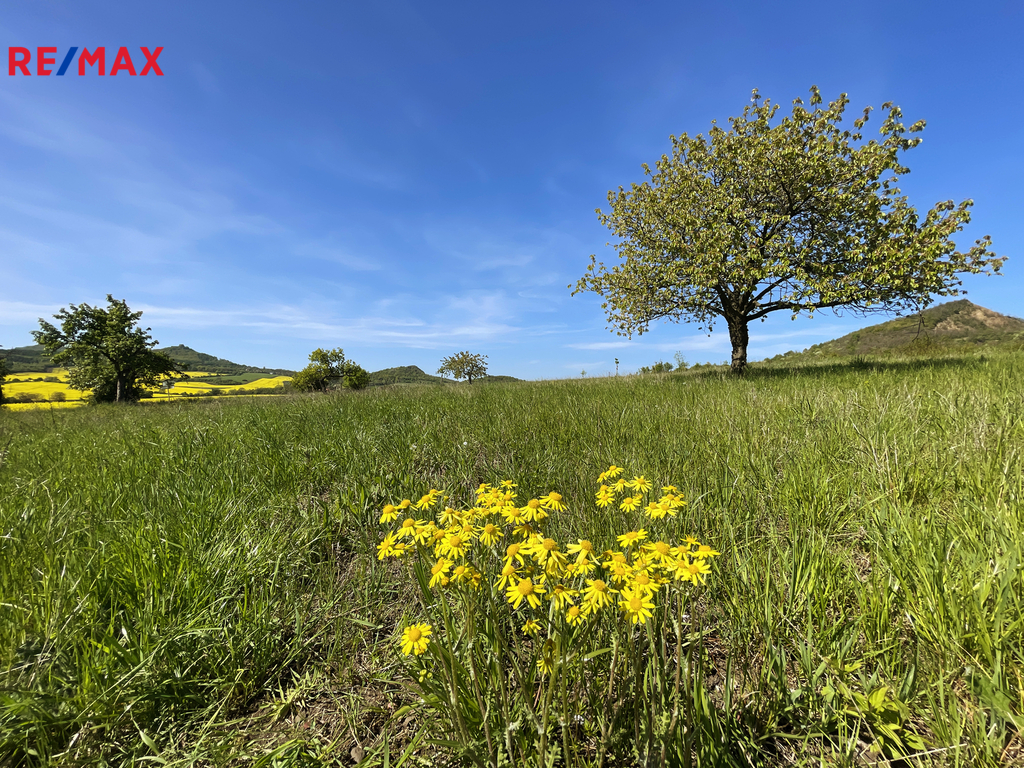 02-podsedice-brano-pazitka.jpg
