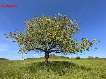 03-podsedice-brano-pazitka.jpg | Prodej - pozemek pro bydlení, 4 847 m²