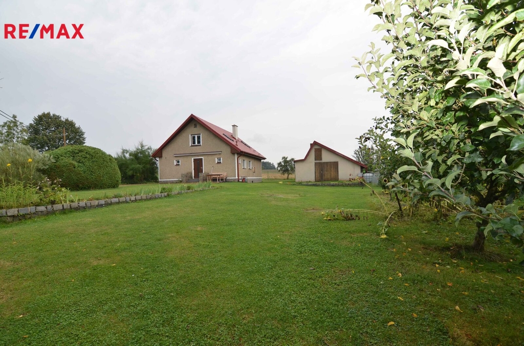 04.jpg