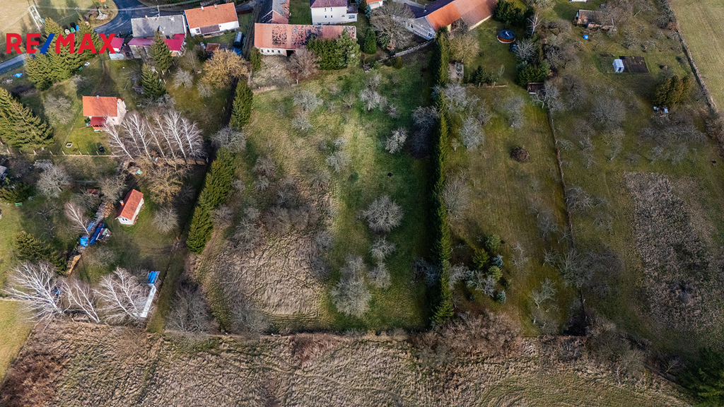 dji-20250131143313-0081-d.jpg