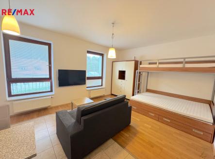 img-5723.jpg | Pronájem bytu, 1+kk, 31 m²