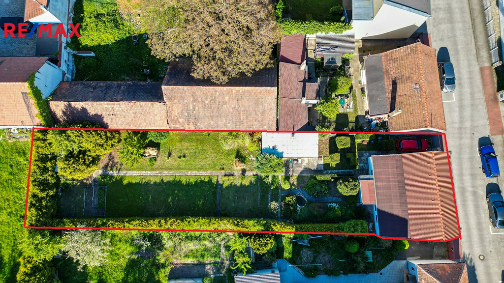 dji-fly-20250409-065942-430-1745947243401-photo-3.jpg