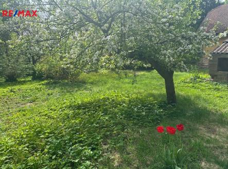 img-5769-ve-stredni-velikosti.jpeg | Prodej - dům/vila, 300 m²