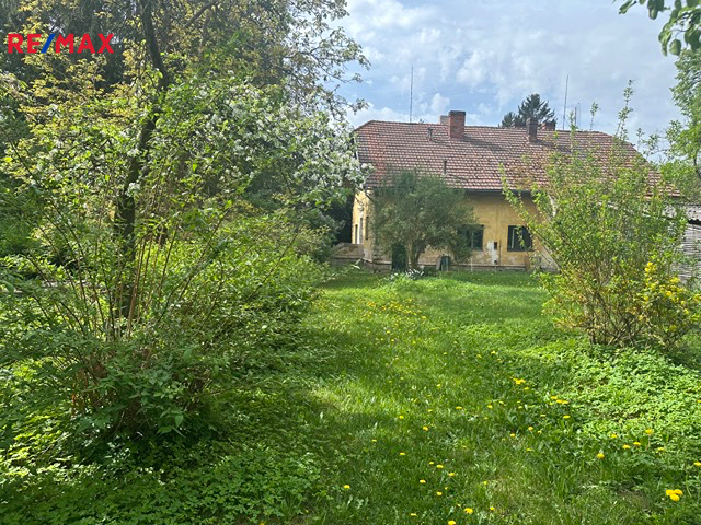 img-5783-ve-stredni-velikosti.jpeg