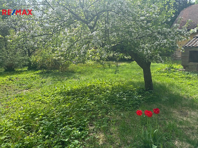 img-5769-ve-stredni-velikosti.jpeg