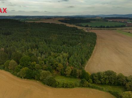 vsehrdy1.jpg | Prodej - pozemek, les, 35 057 m²