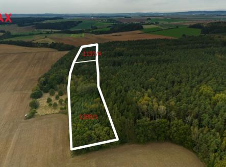 vsehrdy1193-1-hranice-poz.jpg | Prodej - pozemek, les, 35 057 m²