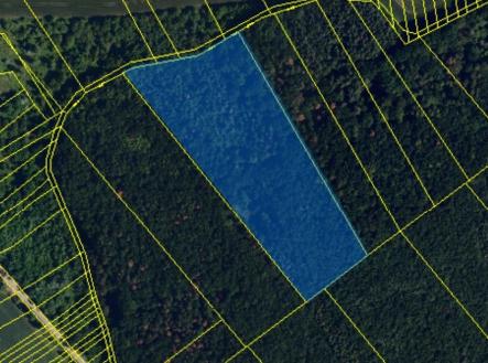 les-lelekovice3.jpg | Prodej - pozemek, les, 22 668 m²