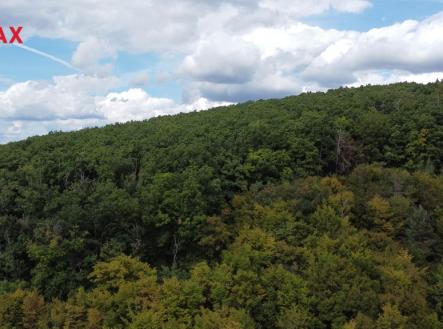 les-lelekovice-1.jpg | Prodej - pozemek, les, 22 668 m²