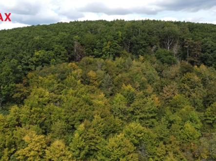 les-lelekovice-2.jpg | Prodej - pozemek, les, 22 668 m²