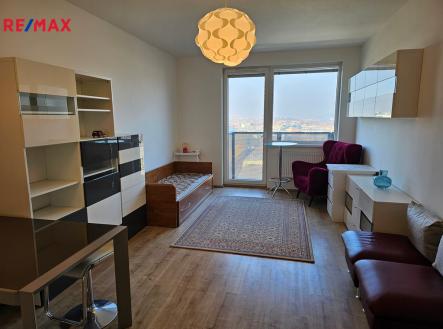 20250224-094316-resized.jpg | Pronájem bytu, 1+kk, 33 m²