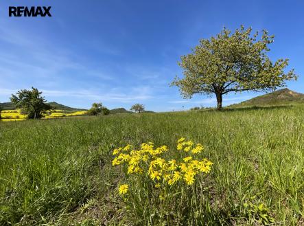 Podsedice_03 (Braňo Pažitka) | Prodej - pozemek pro bydlení, 4 847 m²