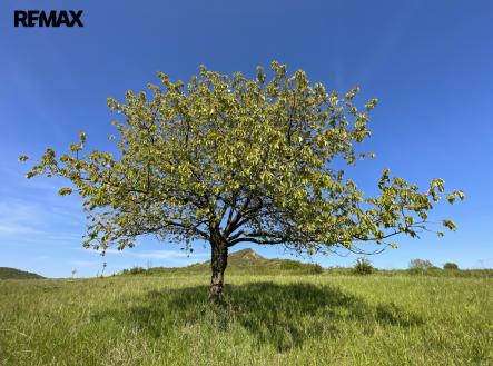 Podsedice_04 (Braňo Pažitka) | Prodej - pozemek pro bydlení, 4 847 m²