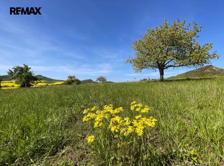 Podsedice_03 (Braňo Pažitka) | Prodej - pozemek pro bydlení, 4 847 m²