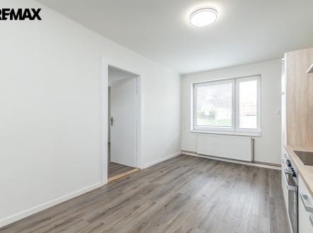 img-0795-ve-velke-velikosti.jpeg | Prodej bytu, 1+1, 65 m²