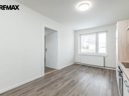 img-0795-ve-velke-velikosti.jpeg | Prodej bytu, 1+1, 65 m²